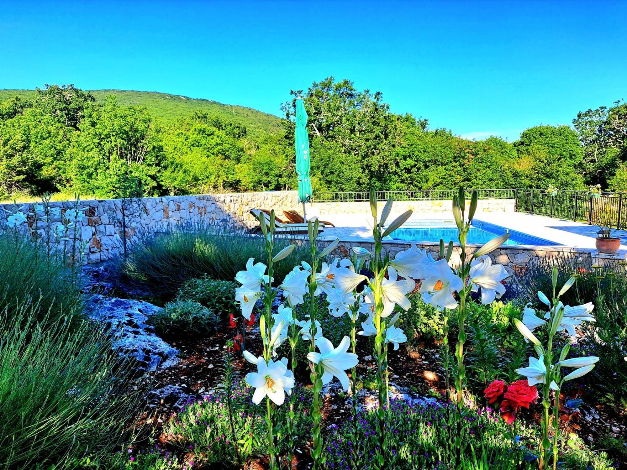 Relaxing Dalmatian House In Village Ljubitovica Exteriér fotografie
