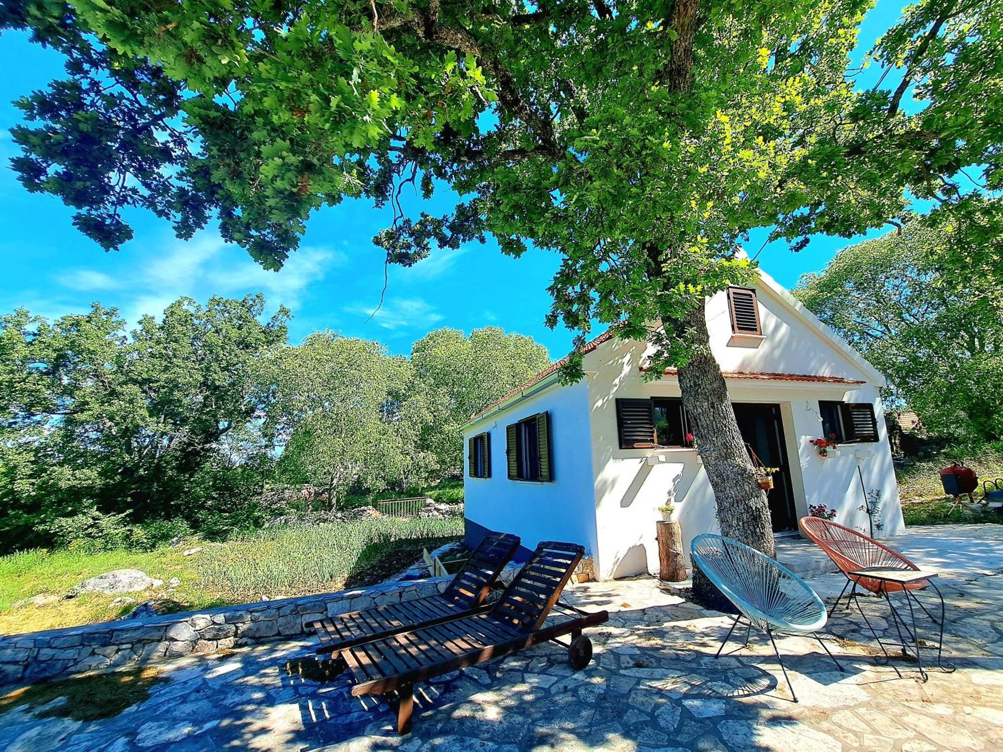 Relaxing Dalmatian House In Village Ljubitovica Exteriér fotografie
